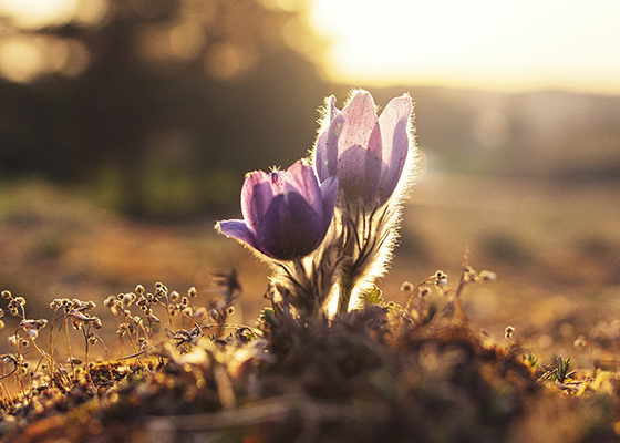 Grow Your Franchise With Acquisition Finance