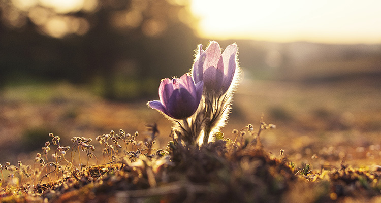 Grow Your Franchise With Acquisition Finance