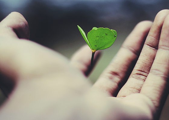 Financing The Growth Periods of Your Franchise | How to Finance Business Growth