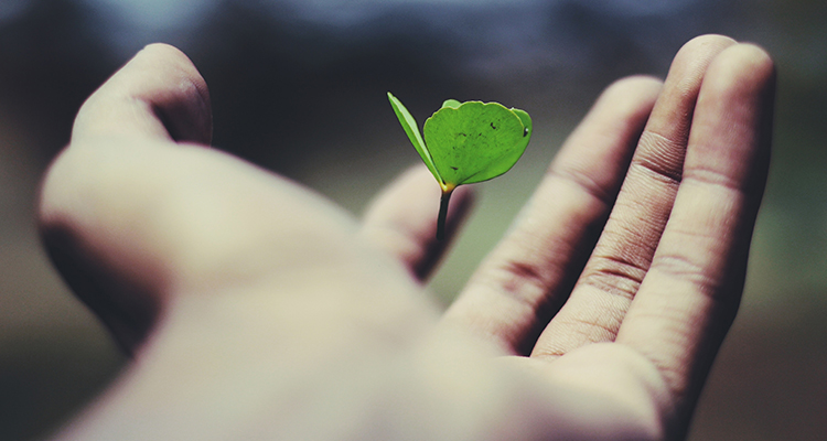 Financing The Growth Periods of Your Franchise | How to Finance Business Growth