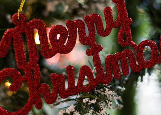 Merry Christmas from the NGI team