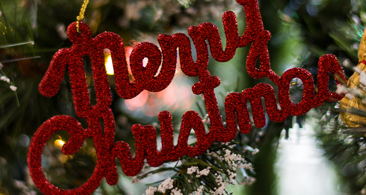 Merry Christmas from the NGI team
