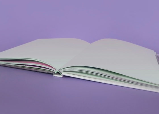 Franchise funding basics: A beginner’s guide for new franchise owners