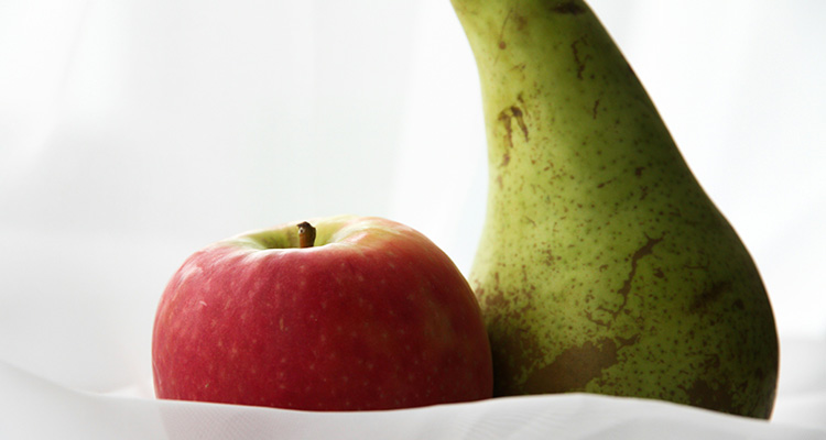 Equity vs debt financing for franchises, the pros and cons